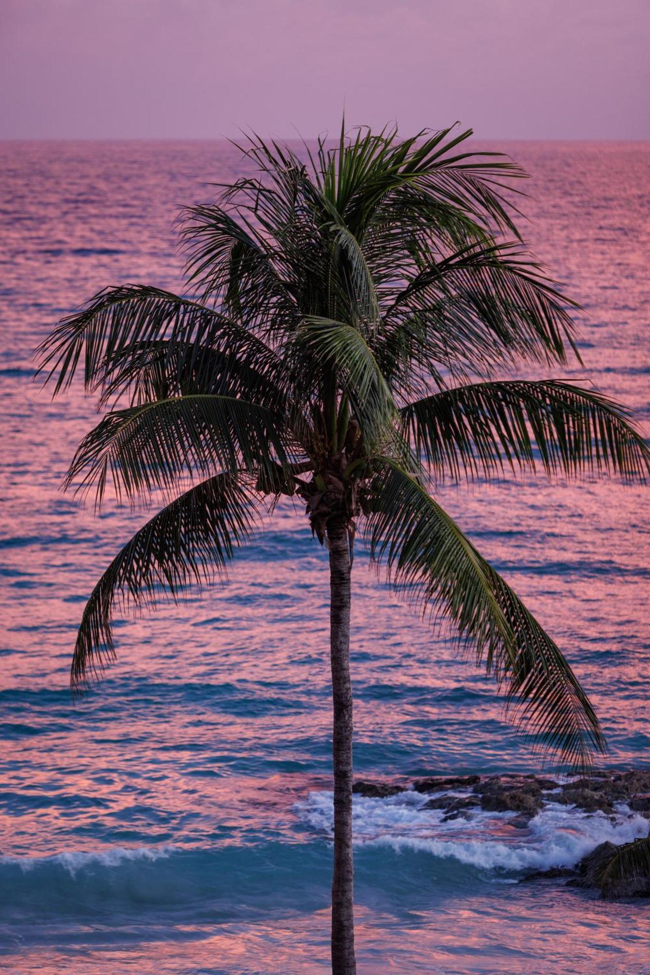 Sandals Barbados All Inclusive - Couples Only (Adults Only) Christ Church Esterno foto